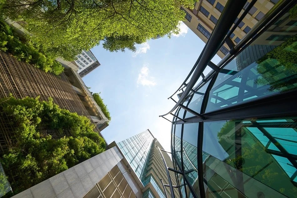 Looking up at modern glass buildings and green trees against a blue sky.